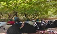 به مناسبت فرارسیدن میلاد با سعادت پیامبر اکرم «صلی‌الله‌علیه‌وآله» و امام جعفر صادق «علیه‌السلام»، اردوی فرهنگی نیم‌روزی از سوی دانشکده علوم قرآنی شیراز برگزار شد.